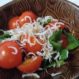 ピーマン・トマト・しらすのオリーブオイルサラダ